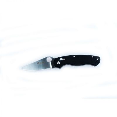 Нож складной Ganzo G729-BK, чёрный